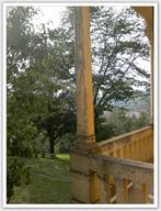 Clicca per ingrandire l'immagine